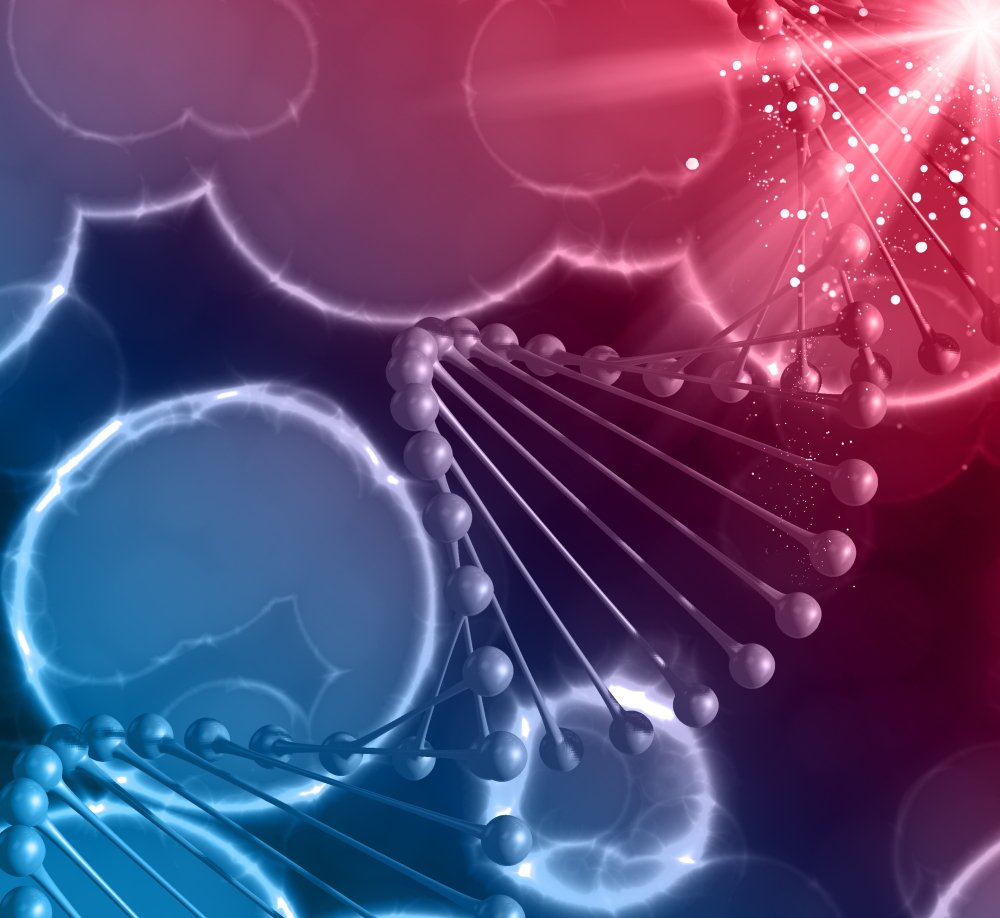 Growth Hormone Secretagogues and Anabolic Signaling