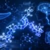 GLP-1 Research Grade Metabolic Peptide | Glucose & Appetite Regulation Compound