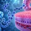 GLP-2 Research Grade Metabolic Peptide | Intestinal Repair & Gut Health Compound
